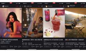 社区电商行业排名及发展趋势分析