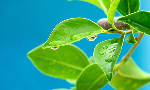 零成本创业,如何用智慧和创意点亮创业之路? 零成本创业,如何用智慧和创意点亮创业之路?