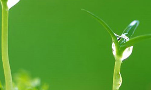 小红书私信赚钱,网络时代的副业新选择 小红书私信赚钱,网络时代的副业新选择