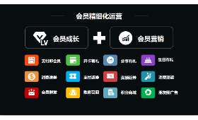 抖音电商梗，探究其背后的商机与挑战